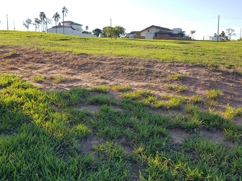 Terreno à venda Portal com 600m² e 1 quarto por R$ 1.050.000 - 1428342338-20191118-173616-copia.jpg