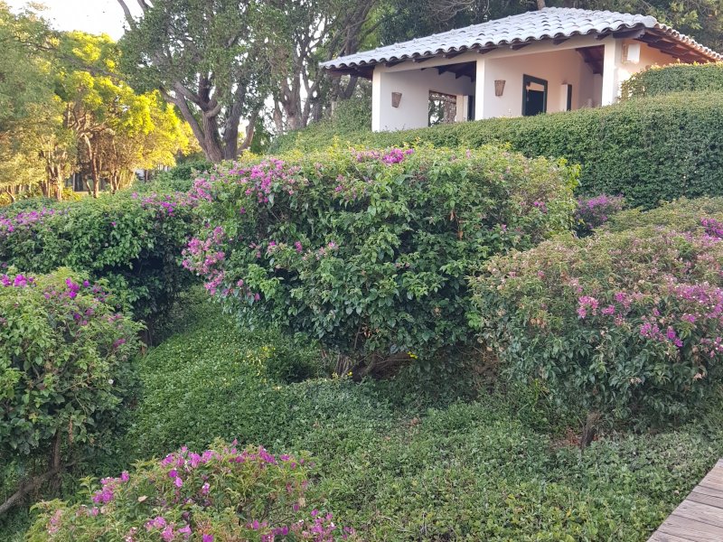 Terreno à venda Portal com 600m² e 1 quarto por R$ 1.050.000 - 1608183605-20191118-175809-copia.jpg