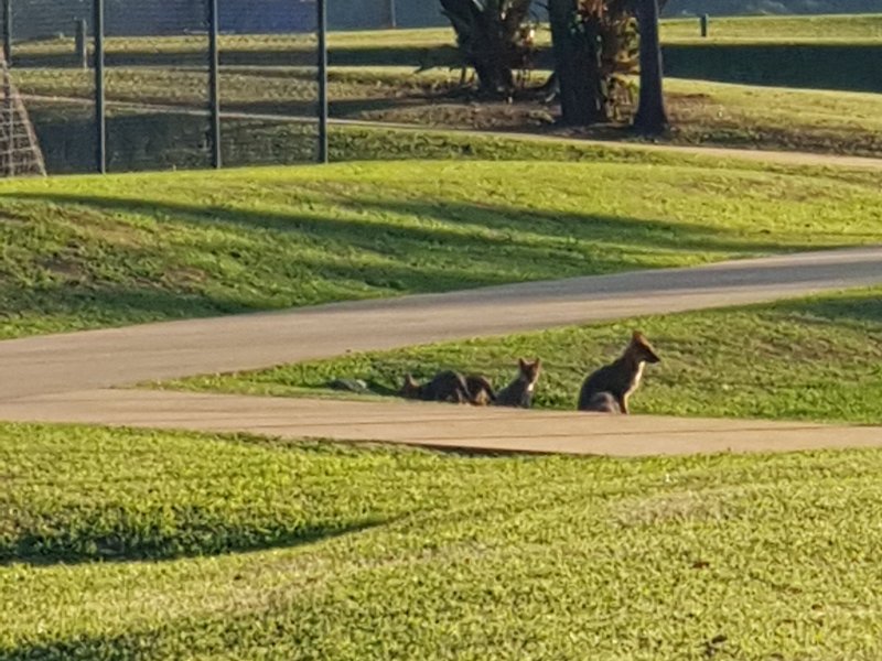 Terreno à venda Portal com 600m² e 1 quarto por R$ 1.050.000 - 1783709534-20191118-175657-copia.jpg