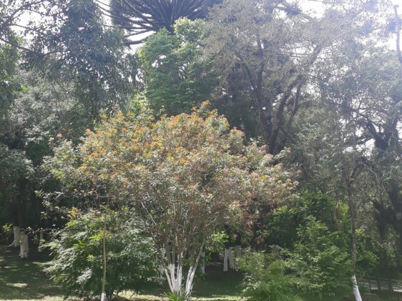 imóvel com 75m² - Santa Quitéria - Curitiba