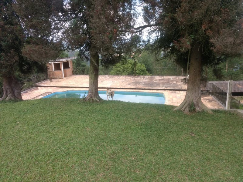 Sítio à venda Centro com 49500m² e 4 quartos por R$ 1.550.000 - 1745813238-img-20191116-134832864.jpg