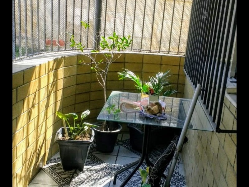 Apartamento à venda Inhaúma com 80m² e 2 quartos por R$ 280 - 229237997-img-20191124-wa0047.jpg