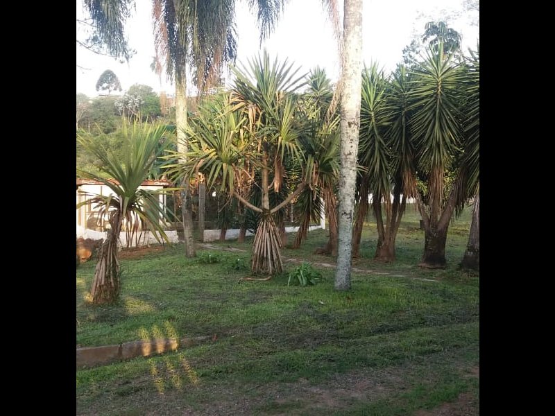 Chácara à venda Recanto das Gaivotas com 1100m² e 5 quartos por R$ 1.160.000 - 242373372-inbound5184948247915433218.jpg