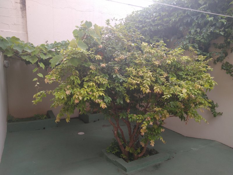 Casa para alugar Vila Matilde com 180m² e 3 quartos por R$ 75.000 - 328274374-inbound7311046458352372524.jpg