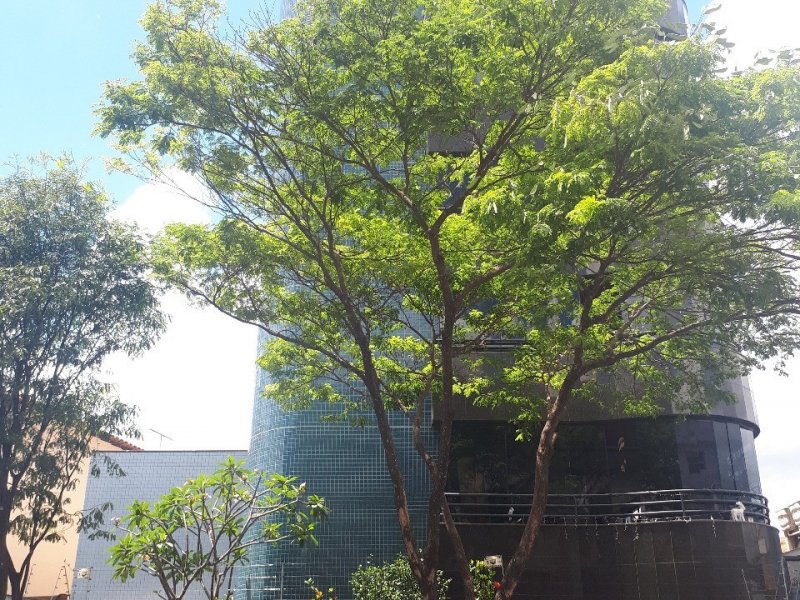 Cobertura à venda Cidade Nova com 275m² e 4 quartos por R$ 1.500.000 - 146500088-fachada.jpg