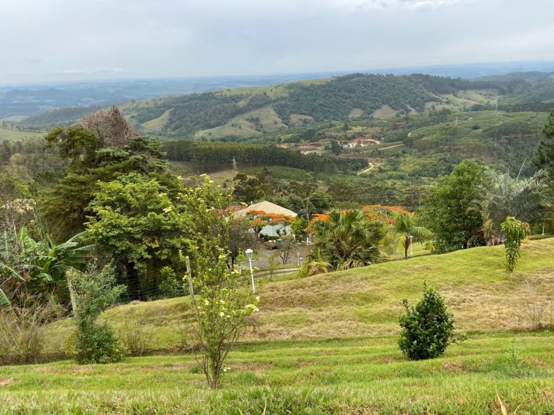 Casa à venda Monte Sankhya com 280m² e 4 quartos por R$ 1.100.000 - 1253694141-img-20191109-wa0006.jpg