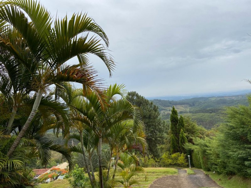 Casa à venda Monte Sankhya com 280m² e 4 quartos por R$ 1.100.000 - 1433247965-img-20191109-wa0053.jpg