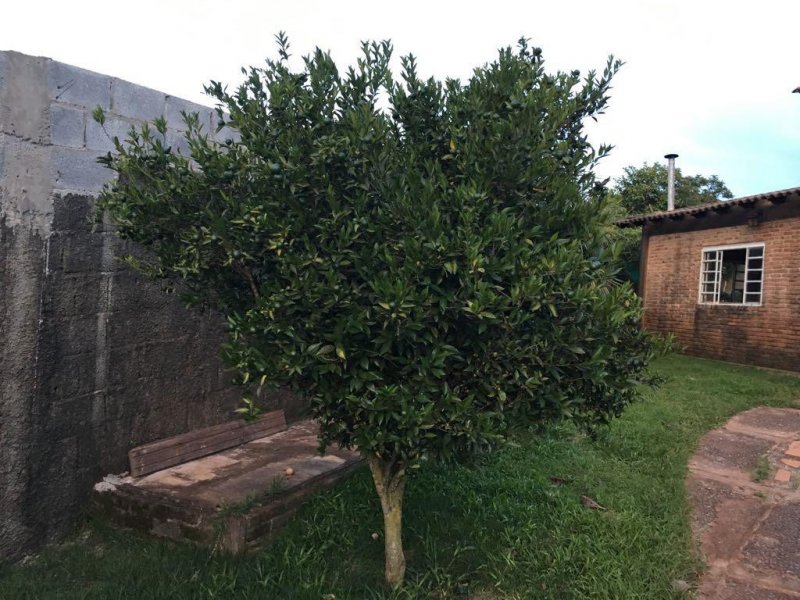 Casa à venda Balneário Água Limpa com 878m² e 3 quartos por R$ 450.000 - 1378958856-19cda4b9-a9ba-4d72-a8fa-30fac890e6ba.jpeg