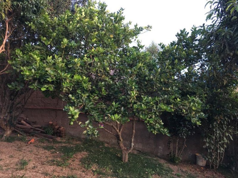 Casa à venda Balneário Água Limpa com 878m² e 3 quartos por R$ 450.000 - 1477139662-206c0c08-e5d7-4979-bf22-708ff6931707.jpeg