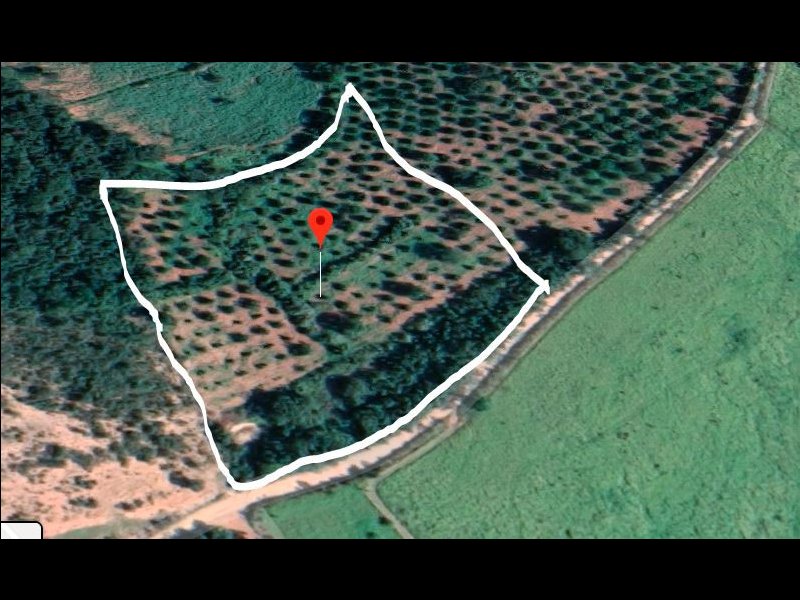Terreno à venda Londrina com 20000m² e 1 quarto por R$ 170.000 - 51938118-2.JPG