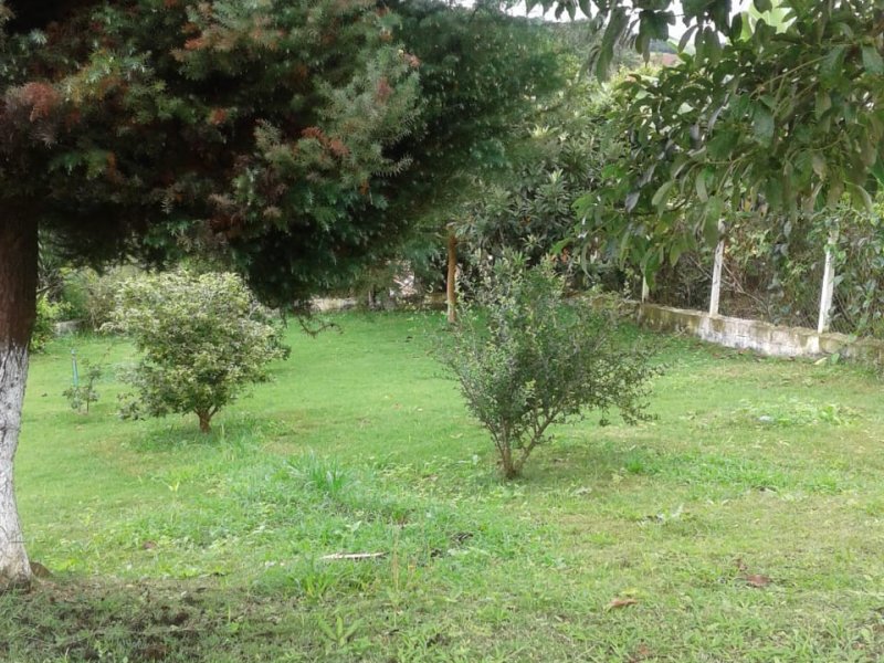 imóvel com 2m² - Cocuera - Mogi das Cruzes