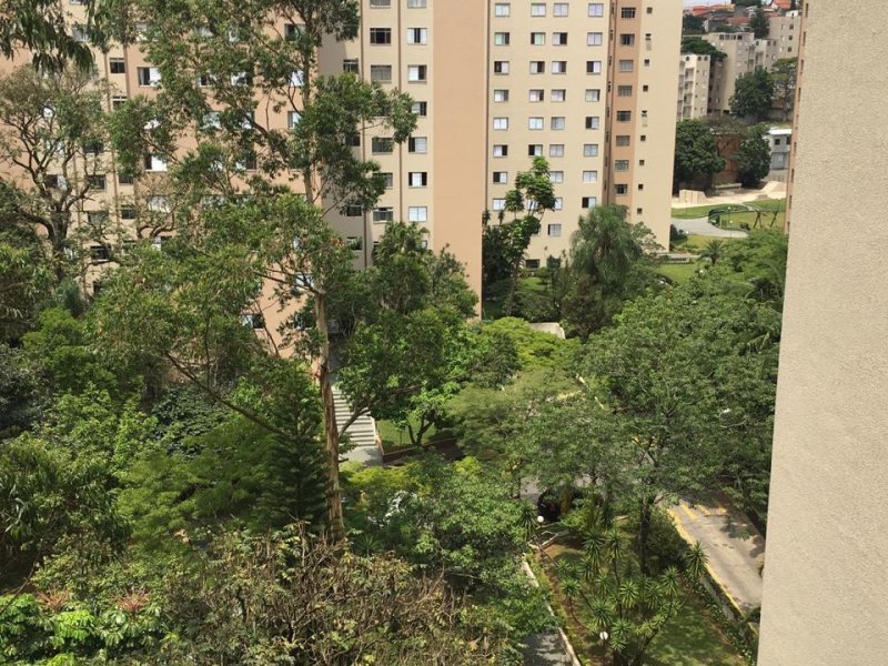 Apartamento à venda Jardim Marajoara com 63m² e 2 quartos por R$ 420.000 - 783704122-vista-da-sala.jpeg
