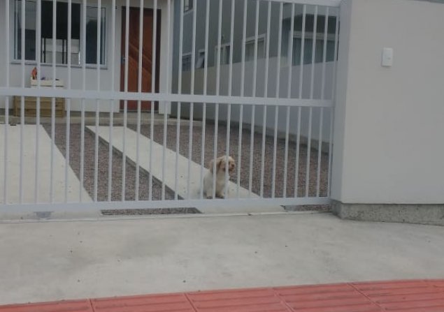 imóvel com 90m²