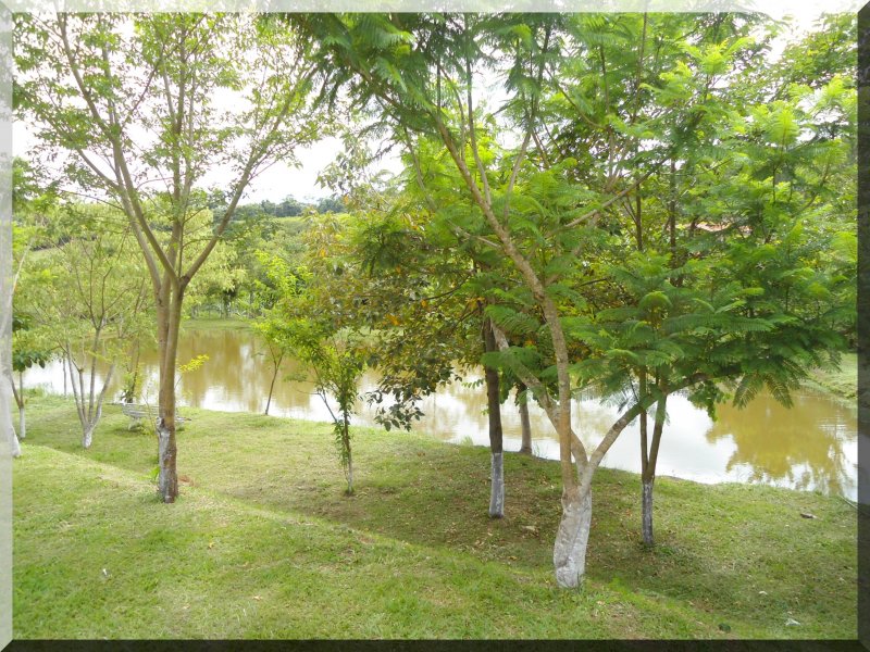 imóvel com 6000m² - Arara dos Pereiras - Bragança Paulista