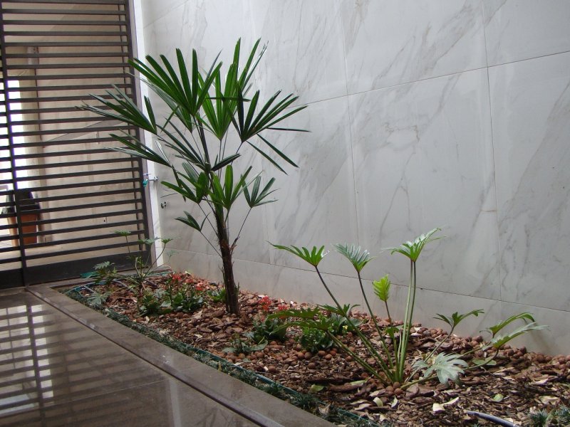imóvel com 356m² - Graça - Belo Horizonte