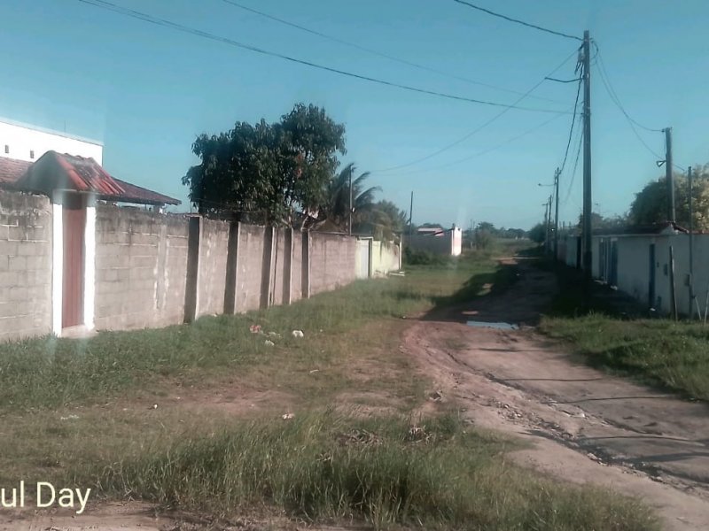 Terreno à venda Parati com 600m² e 1 quarto por R$ 19.999 - 289463183-whatsapp-image-2019-10-12-at-5.jpeg
