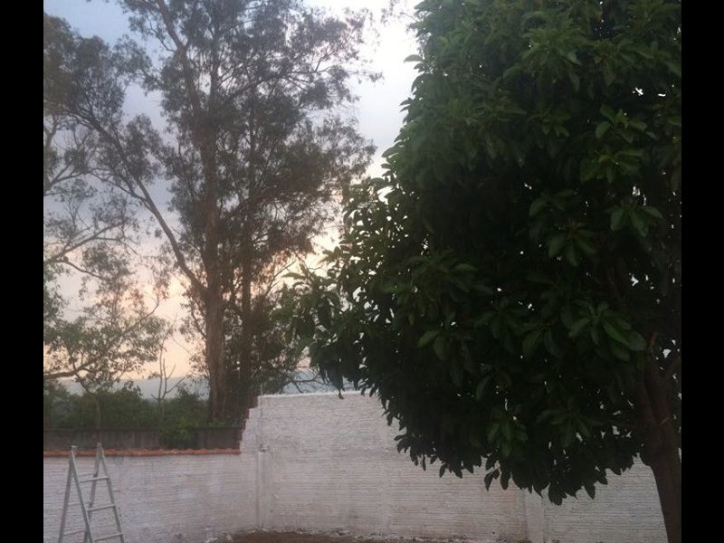 Casa à venda Jardim Botânico com 140m² e 3 quartos por R$ 400.000 - 1817297645-78482457-285006249080299-8845972861123297280-n.jpg