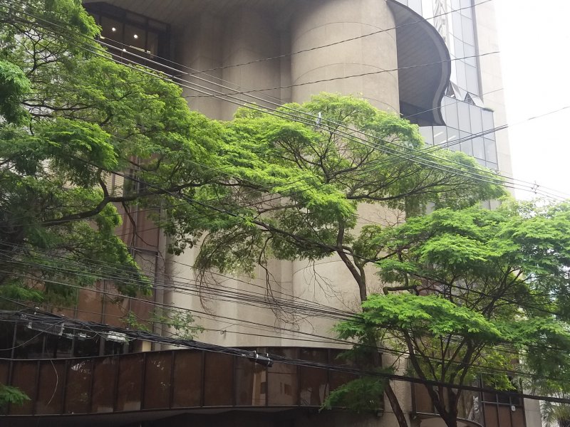 Comercial à venda Brooklin com 320m² e  quartos por R$ 3.950.000 - 1479180850-20161130-102827.jpg