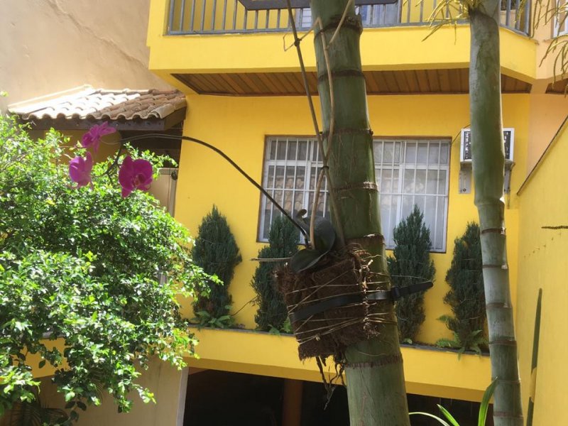 Casa à venda Cangaíba com 210m² e 3 quartos por R$ 599.999 - 1451985420-1d577e18-5f81-4656-8727-46b6f820747f.jpeg