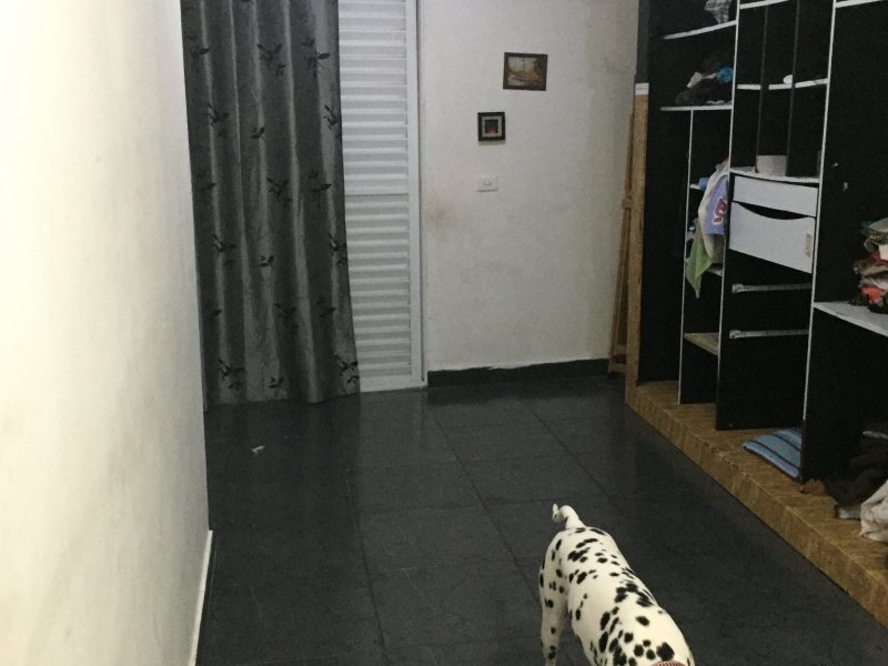 imóvel com 250m² - Jardim Eledy - São Paulo