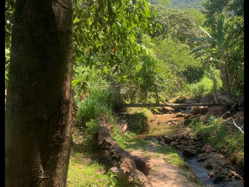 Sítio à venda Sampaio Correia Basiléia  com 22m² e 2 quartos por R$ 700.000 - 1197369188-sitio-13.jpg