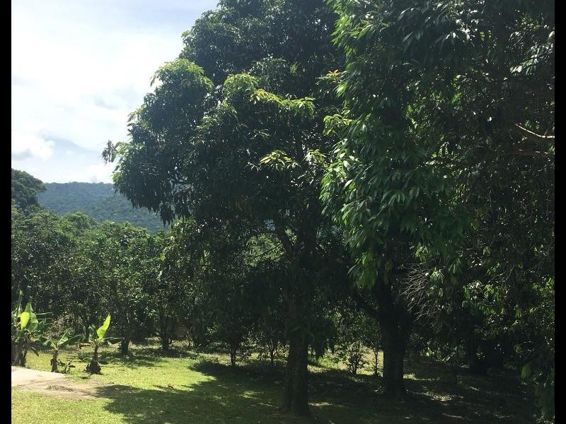 Sítio à venda Sampaio Correia Basiléia  com 22m² e 2 quartos por R$ 700.000 - 701689803-sitio-6.jpg