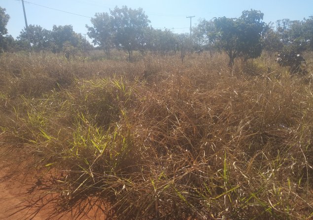 imóvel com 420m²