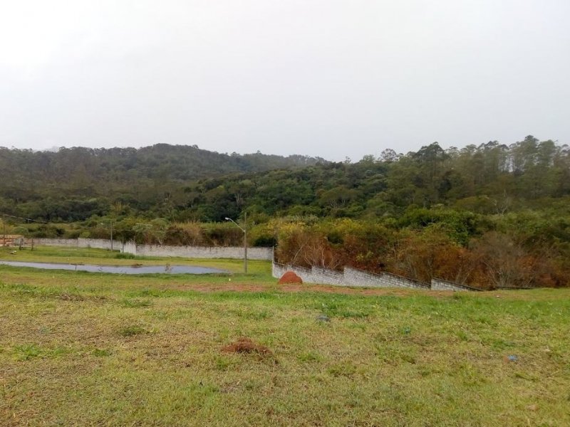 Terreno à venda Cézar de Souza com 314m² e  quartos por R$ 240.000 - 340007368-terreno-2.JPG