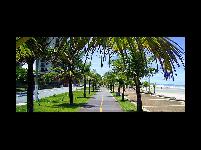 imóvel com 43m² - Campo da Aviação - Praia Grande