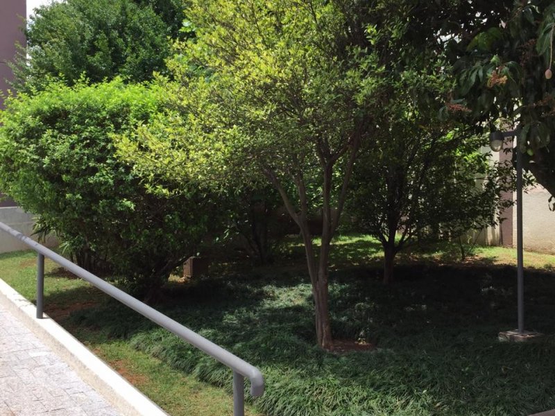Apartamento à venda Vila Santa Catarina com 56m² e 2 quartos por R$ 320.000 - 1447392101-whatsapp-image-2019-11-20-at-22.jpeg