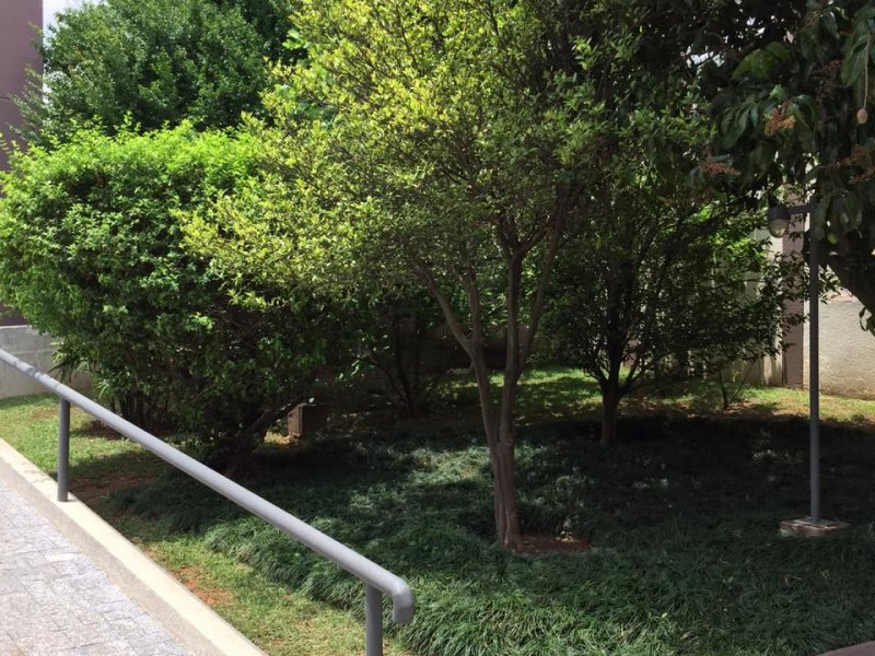 Apartamento à venda Vila Santa Catarina com 56m² e 2 quartos por R$ 320.000 - 179179450-whatsapp-image-2019-11-20-at-22.jpeg