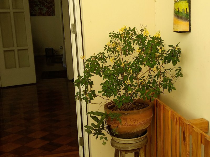 Apartamento à venda Flamengo com 204m² e 3 quartos por R$ 2.000.000 - 449113676-img-20181021-141536.jpg