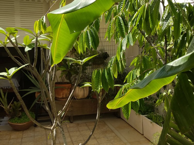 Apartamento à venda Flamengo com 204m² e 3 quartos por R$ 2.000.000 - 9685273-img-20181021-141558.jpg