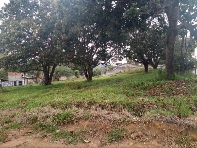 Terreno à venda Chácaras Pousada do Vale com 2300m² e  quartos por R$ 1.100.000 - 717227043-2.jpg