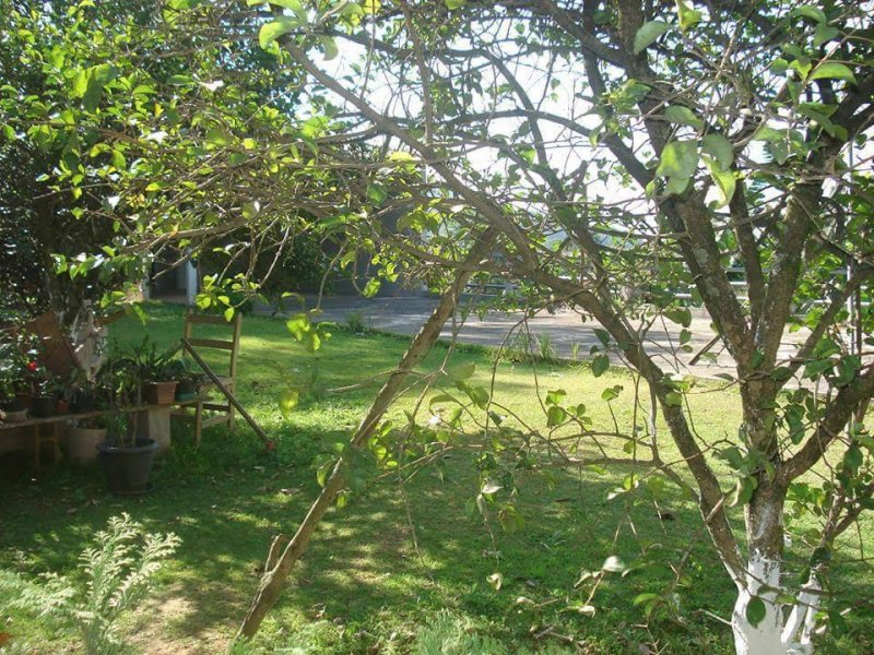 Chácara à venda Jardim Paulista com 2000m² e 3 quartos por R$ 600.000 - 1037468798-jpeg-4.jpg