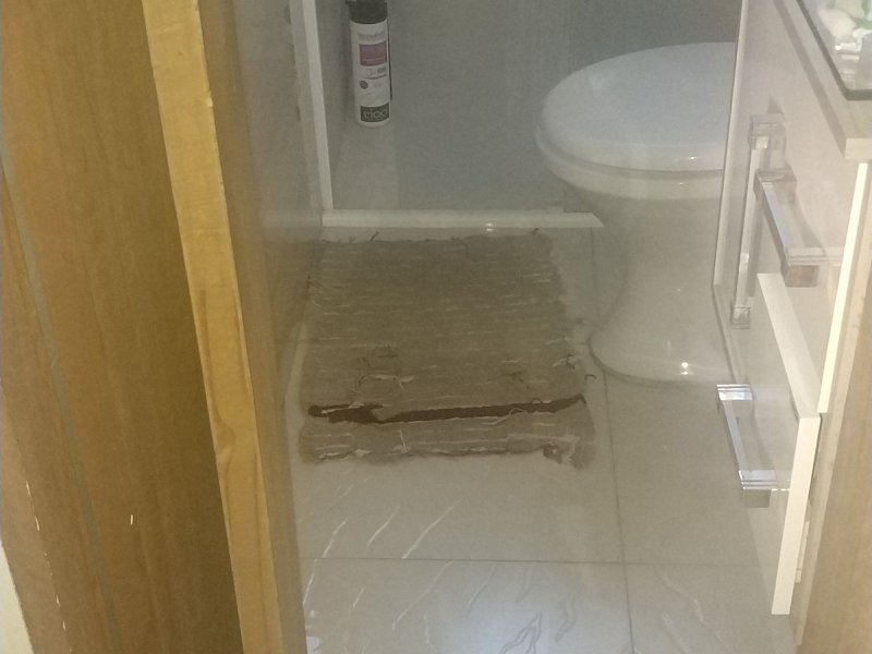 Apartamento à venda Cidade Tiradentes com 46m² e 2 quartos por R$ 80.000 - 1812585116-img-20191208-wa0026.jpeg
