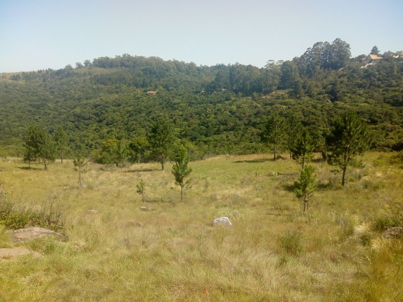 Terreno à venda Vila Nova com 14m² e  quartos por R$ 10.000.000 - 1083138312-img-20191210-093607501.jpg