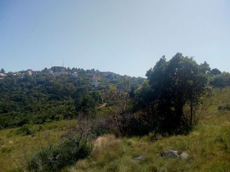 Terreno à venda Vila Nova com 14m² e  quartos por R$ 10.000.000 - 1190866310-img-20191210-093703832.jpg