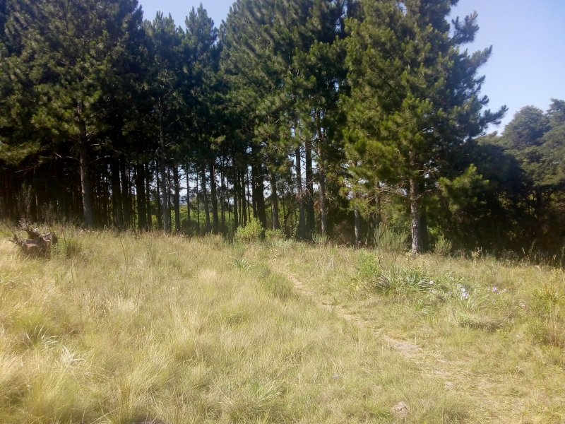 Terreno à venda Vila Nova com 14m² e  quartos por R$ 10.000.000 - 1493992796-img-20191210-093617050.jpg