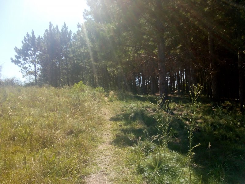 Terreno à venda Vila Nova com 14m² e  quartos por R$ 10.000.000 - 1790050686-img-20191210-093533117.jpg