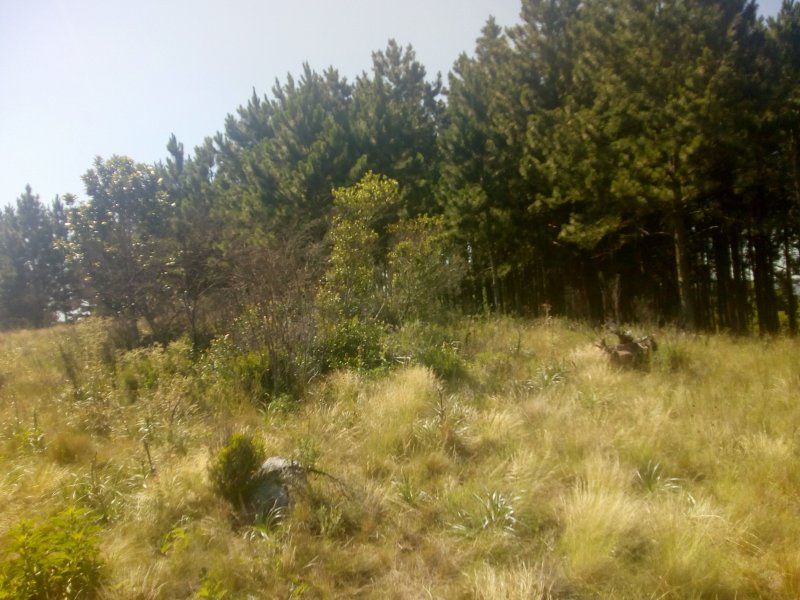 Terreno à venda Vila Nova com 14m² e  quartos por R$ 10.000.000 - 2073663310-img-20191210-093623199.jpg