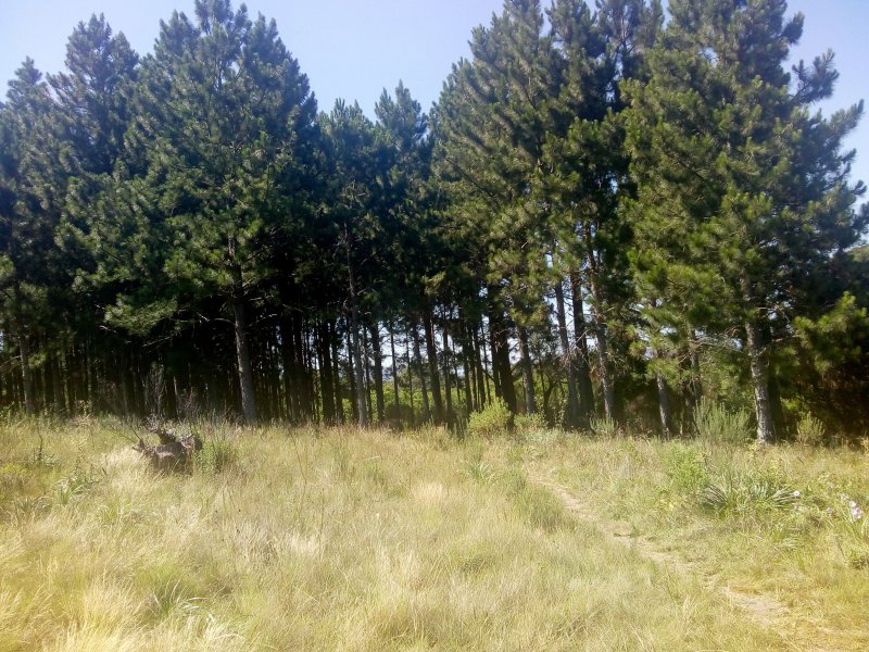 Terreno à venda Vila Nova com 14m² e  quartos por R$ 10.000.000 - 329232588-img-20191210-093818920.jpg