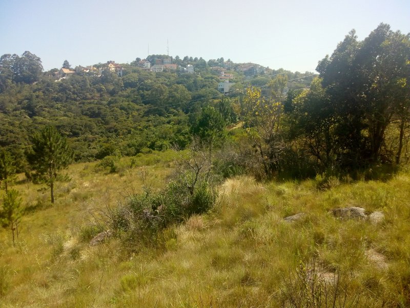 Terreno à venda Vila Nova com 14m² e  quartos por R$ 10.000.000 - 6592668-img-20191210-093604252.jpg