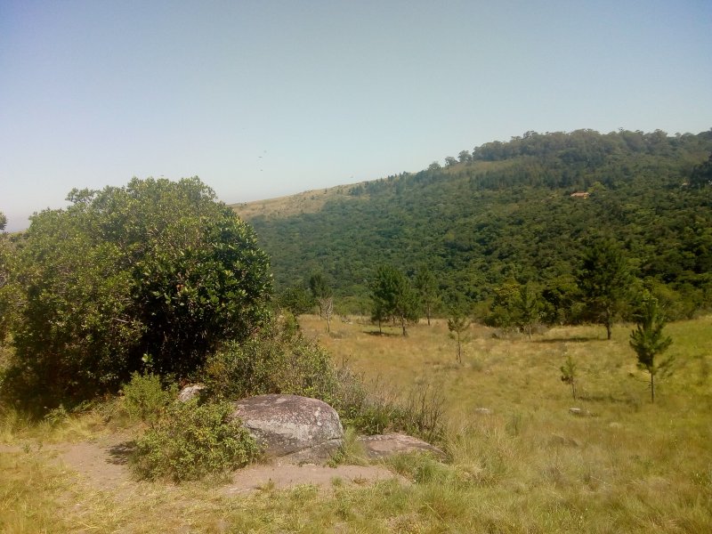 Terreno à venda Vila Nova com 14m² e  quartos por R$ 10.000.000 - 96084847-img-20191210-093720624.jpg