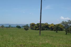 Terreno à venda Centro com 1000m² -  dormitórios -  vagas - R$ 39.000 - 1668202733-dsc06021.JPG