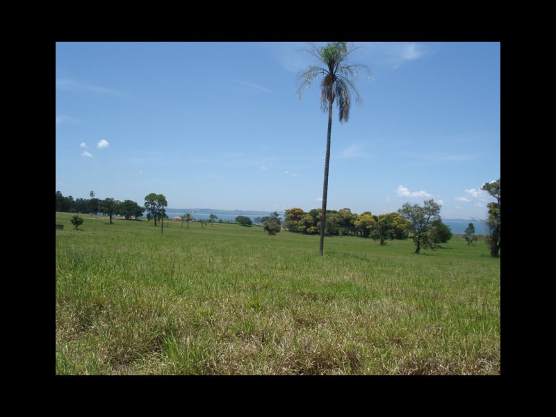 Terreno à venda Centro com 1000m² e  quartos por R$ 39.000 - 750327739-dsc06022.JPG