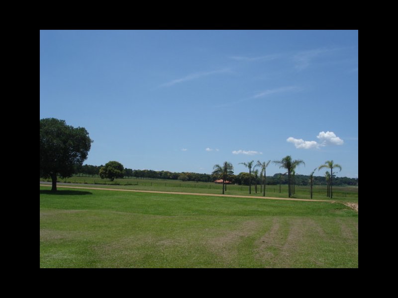 Terreno à venda Centro com 1000m² e  quartos por R$ 39.000 - 794277829-dsc06031.JPG