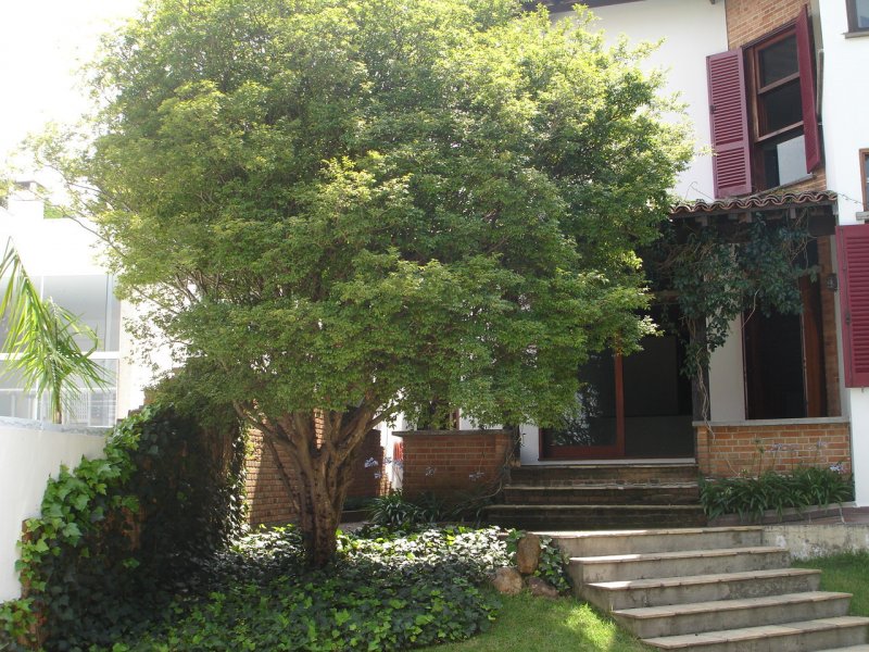 Casa à venda Morumbi com 560m² e 4 quartos por R$ 3.500.000 - 1133408999-copia-de-imagem-551.jpg