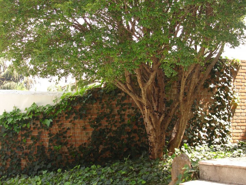 Casa à venda Morumbi com 560m² e 4 quartos por R$ 3.500.000 - 1197633534-copia-de-imagem-544.jpg