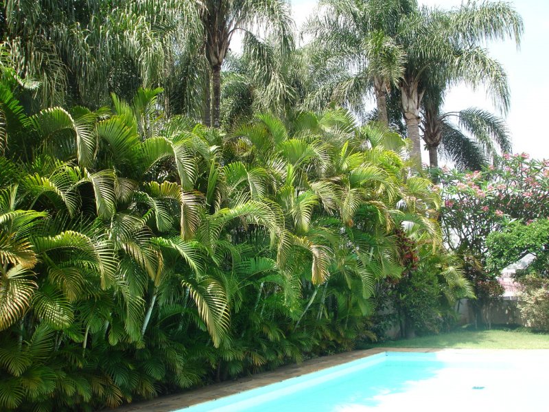 Casa à venda Morumbi com 560m² e 4 quartos por R$ 3.500.000 - 1402802443-copia-de-imagem-545.jpg